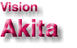 Vision Akita